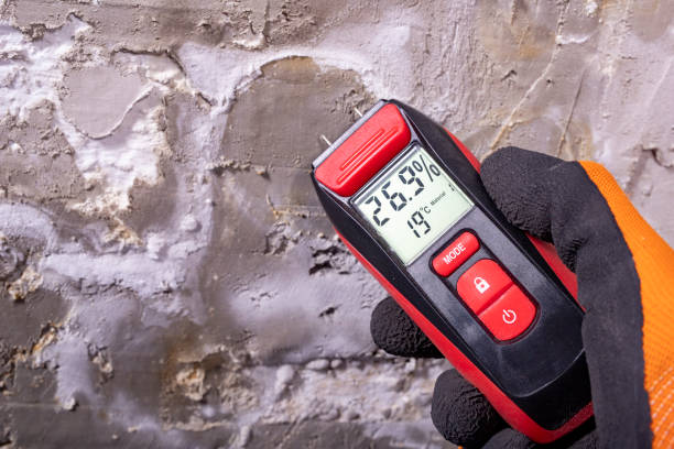 Fairview, GA Mold Removal Company